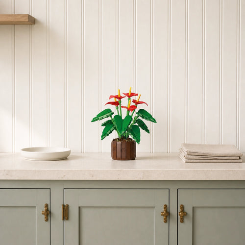 Kitchen Counter