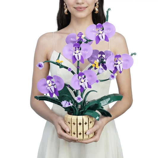 The Orchid Muse