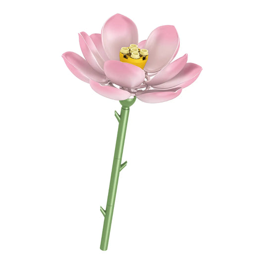 The Lotus Grace Lotus single-stem building flower by Momantee