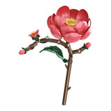 The Velvet Camellia