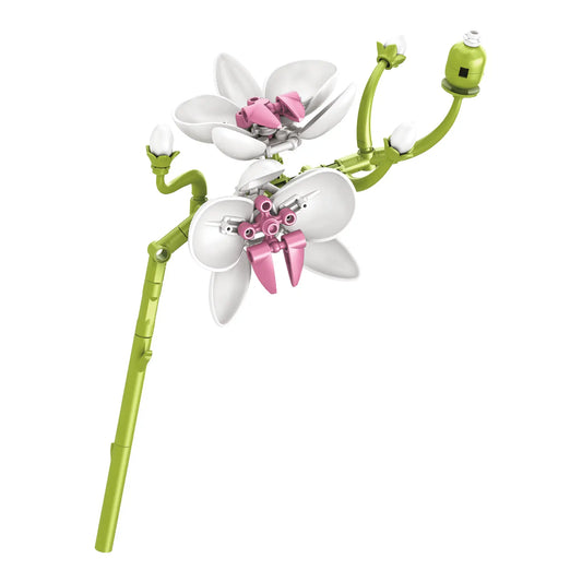 The Orchid Whisper Phalaenopsis Orchid single-stem building flower by Momantee