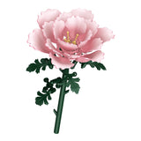 The Peony Hour