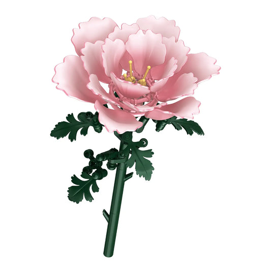 The Peony Hour Peony single-stem building flower by Momantee