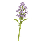 The Quiet Spire Stock Flower single-stem building flower by Momantee