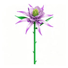 The Midnight Bloom Night-Blooming Cereus single-stem building flower by Momantee