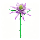 The Midnight Bloom