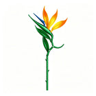 The Open Horizon Bird of Paradise single-stem building flower by Momantee