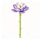 The Still Water Lily Water Lily single-stem building flower by Momantee