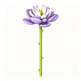 The Still Water Lily