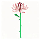 The Petal Crown Chrysanthemum single-stem building flower by Momantee