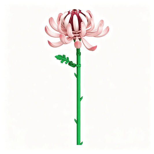The Petal Crown Chrysanthemum single-stem building flower by Momantee