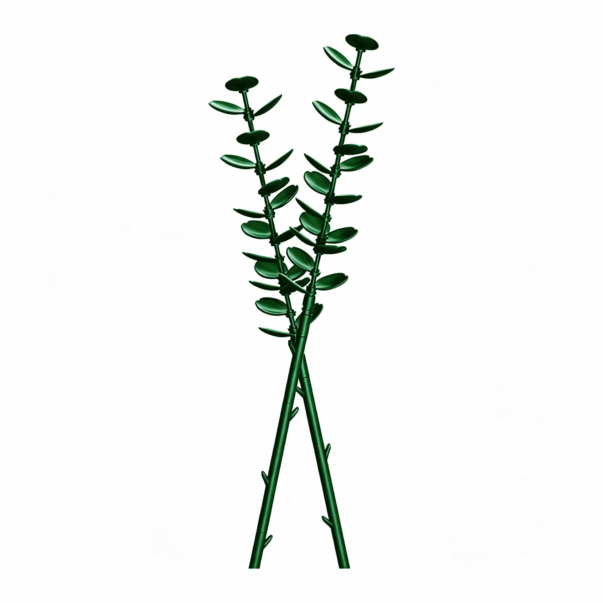 The Eucalyptus Stillness Eucalyptus single-stem building flower by Momantee