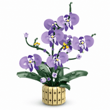 The Orchid Muse