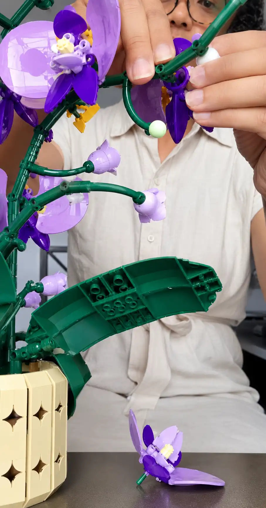 Photo of The Orchid Muse by Sam