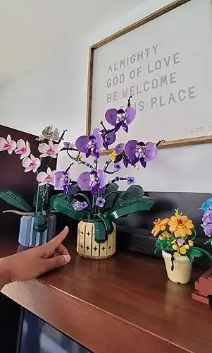 Photo of The Orchid Muse by Neil Mikuta
