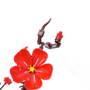 5 stems