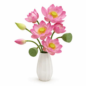 Living Lotus Arrangement