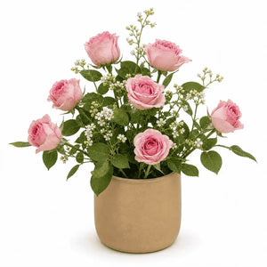 Living Blush Rose Arrangement